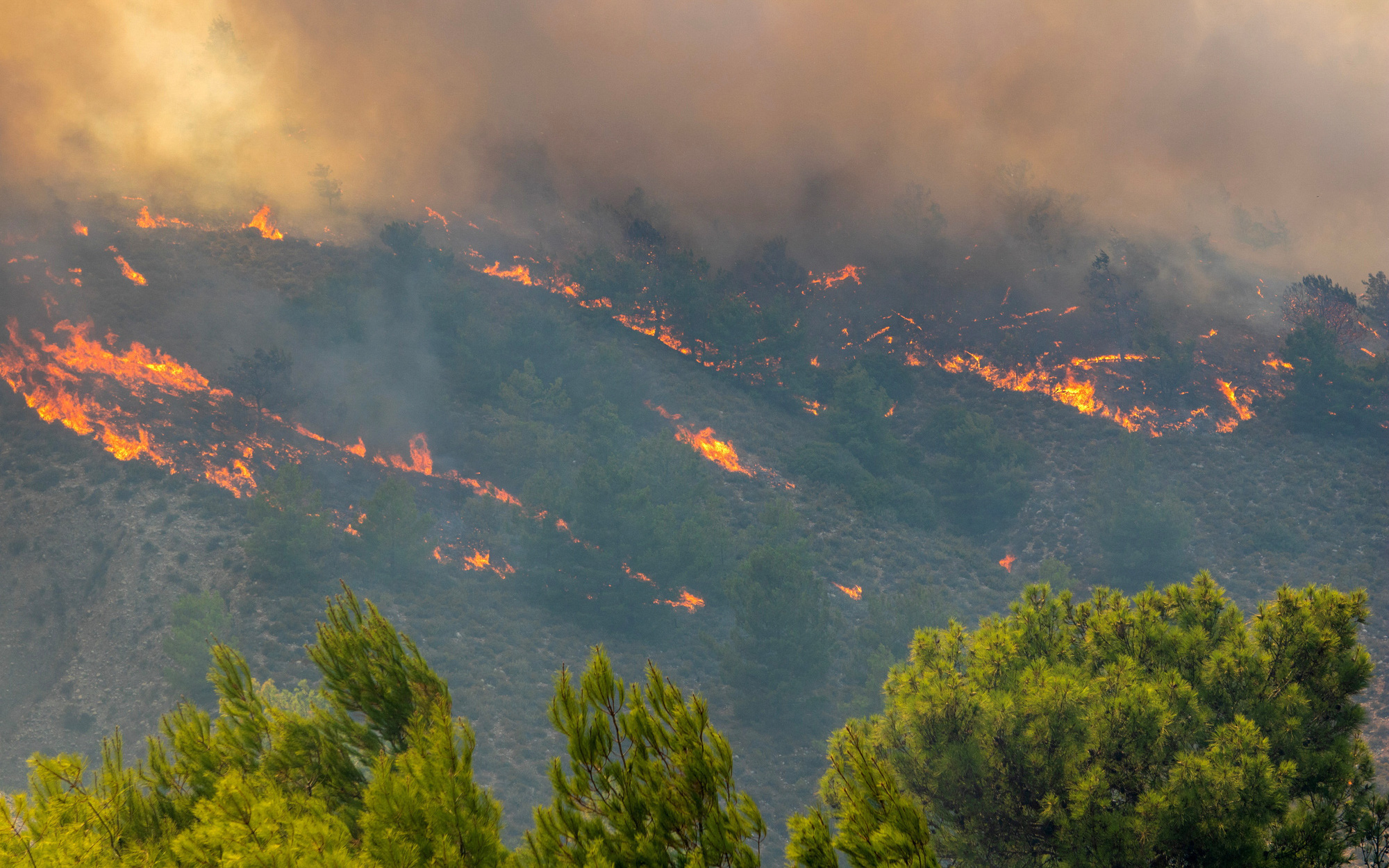 Cận cảnh cháy rừng khủng khiếp ở Hy Lạp
