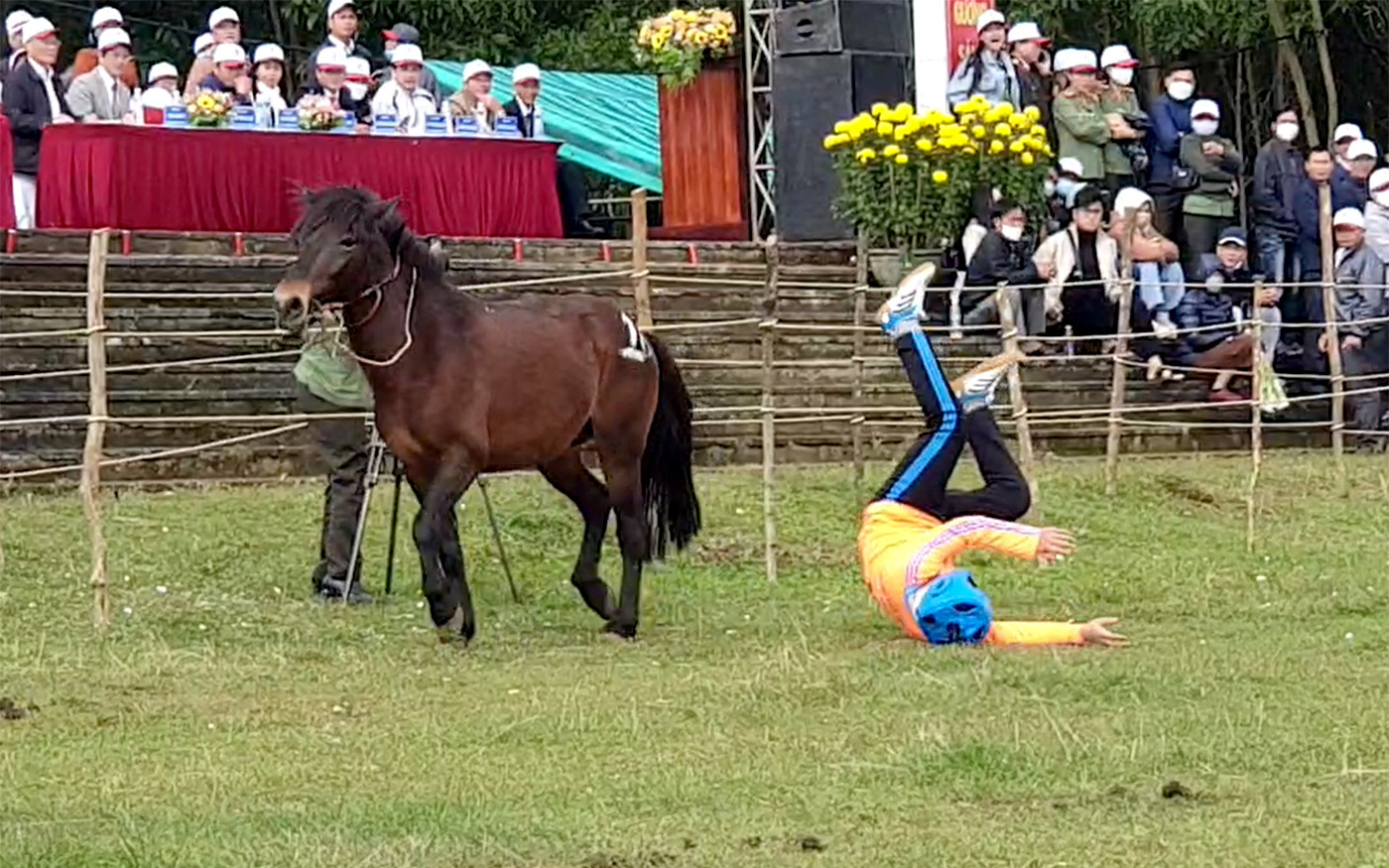 "Cười bò" với hội đua ngựa mỗi năm chỉ một lần tổ chức vào dịp Tết