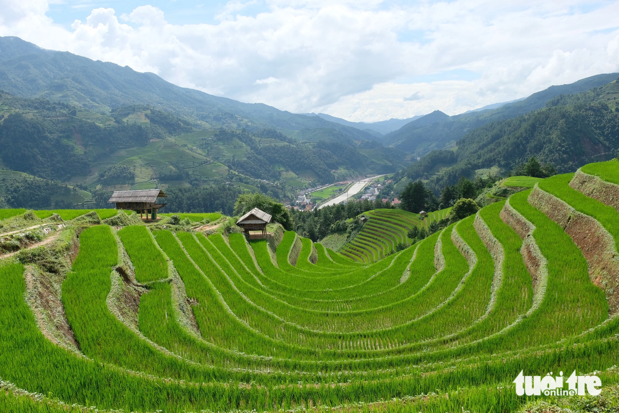 Người Mông đón mùa vàng, rộn ràng trước Tết Độc lập - Ảnh 3. Sau lũ, những thửa ruộng bậc thang lên xanh ngắt đẹp ngỡ ngàng - Ảnh: NGUYÊN BẢO