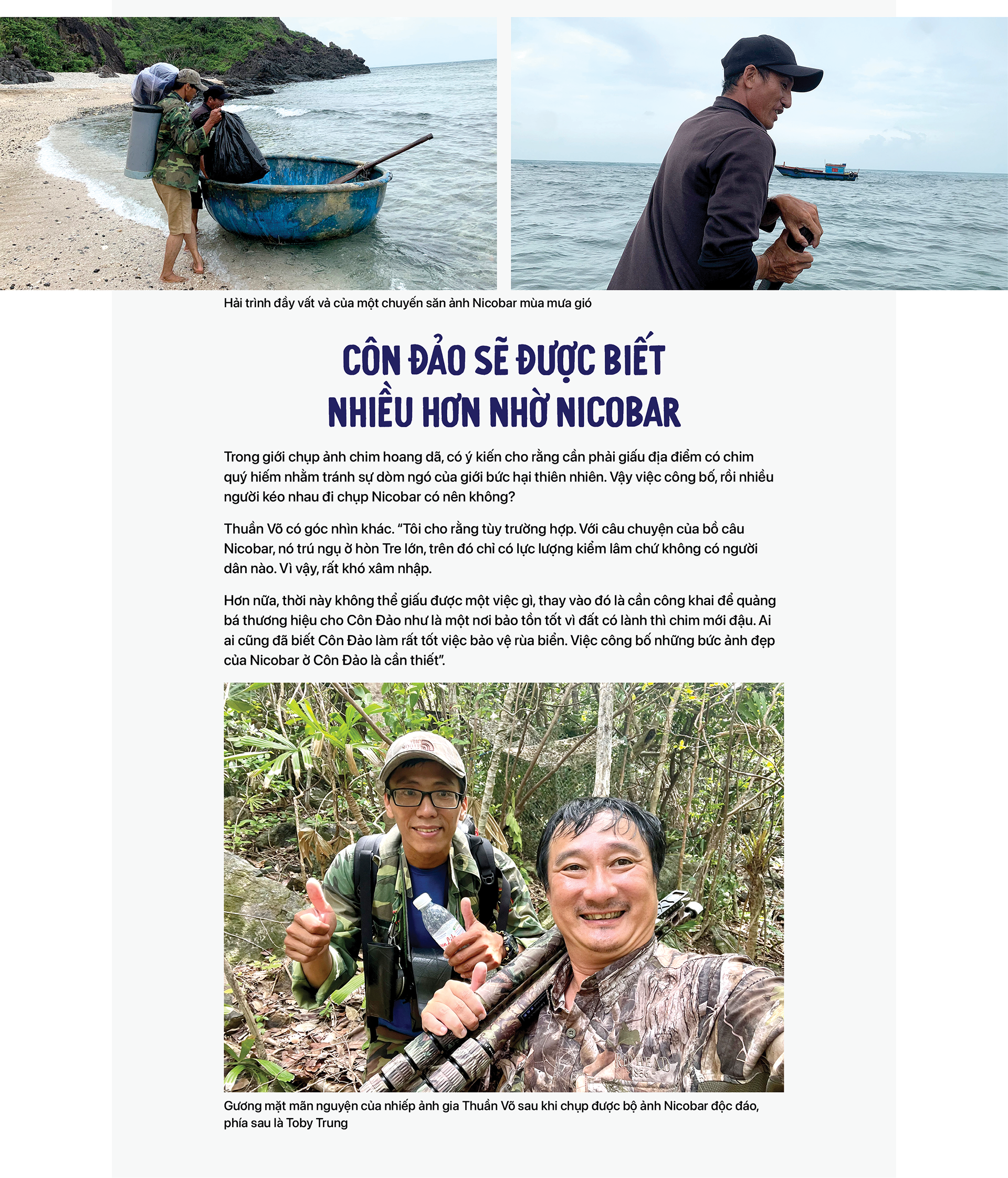 Cơn sốt săn ảnh bồ câu Nicobar ở Côn Đảo - Ảnh 14. Cơn sốt săn ảnh bồ câu Nicobar ở Côn Đảo - Ảnh 14.
