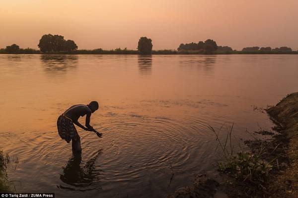 Một người phụ nữ của bộ tộc tắm ở sông Nile trong ánh hoàng hôn. Sau khi nội chiến kết thúc, hàng nghìn nam giới trở về Nam Sudan tìm vợ, khiến phụ nữ trở nên có giá. 