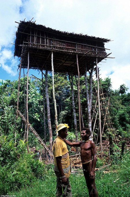 Boas (trái), một người Korowai, rời cụm nhà trên cây để sống trong làng định cư Yaniruma vào năm 2006. Ảnh: Paul Raffaele.