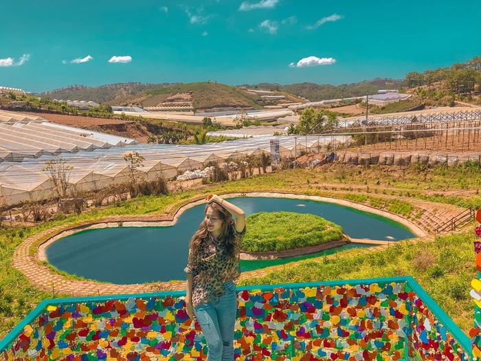 đồi vô ảnh1