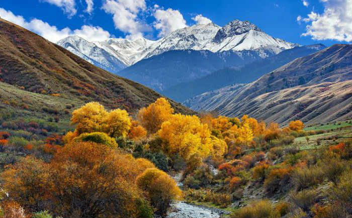 Kazakhstan - viên ngọc bí ẩn giữa lục địa Á - Âu - Ảnh 4. Mùa thu phủ vàng tại khu vực hồ Kolsai - Ảnh: CARAVANISTAN