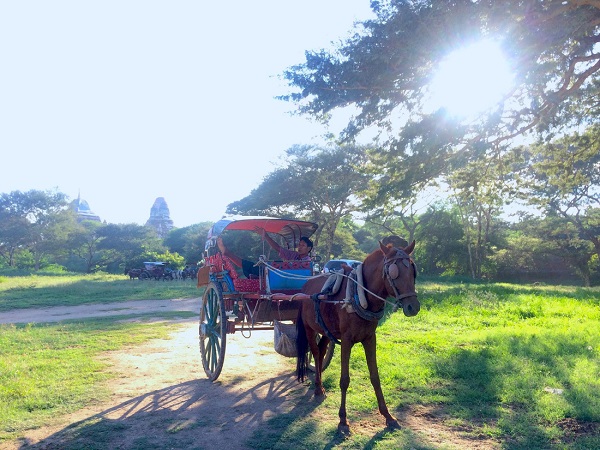Những đền đài nhuốm màu thời gian vốn gắn liền với một Bagan huyền thoại, đằng sau đó là cuộc sống mưu sinh thường nhật vẫn diễn ra. Thấp thoáng hình ảnh người đàn ông nằm thư thả trên chiếc xe ngựa chờ chở khách hành hương - Ảnh: Bông Mai
