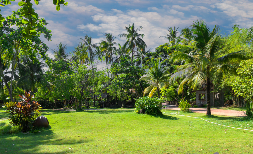 Nhiều mảng xanh lớn tạo không gian miệt vườn ở bán đảo Thanh Đa bên bờ sông Sài Gòn - Ảnh: MINH HUYỀN