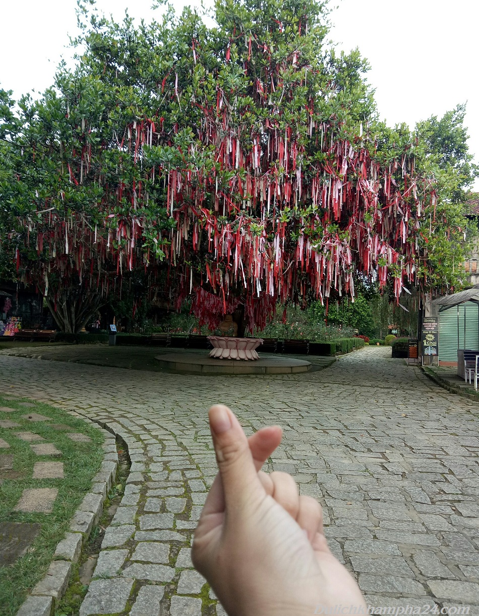 Thung lũng tình yêu Đà Lạt
