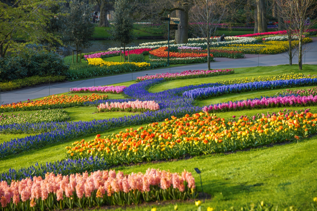 vuon-hoa-Keukenhof-ivivu-19