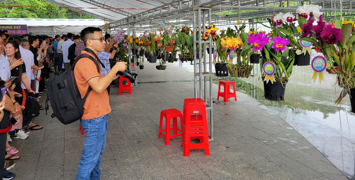 Khách đến tham quan hội thi và triển lãm hoa lan tổ chức tại TP Cần Thơ trong những ngày nghỉ lễ Quốc khánh 2-9 - Ảnh: CHÍ QUỐC
